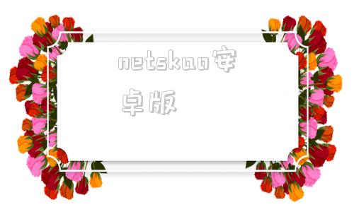 netskao安卓版wwwjrskancom-第1张图片-太平洋在线下载