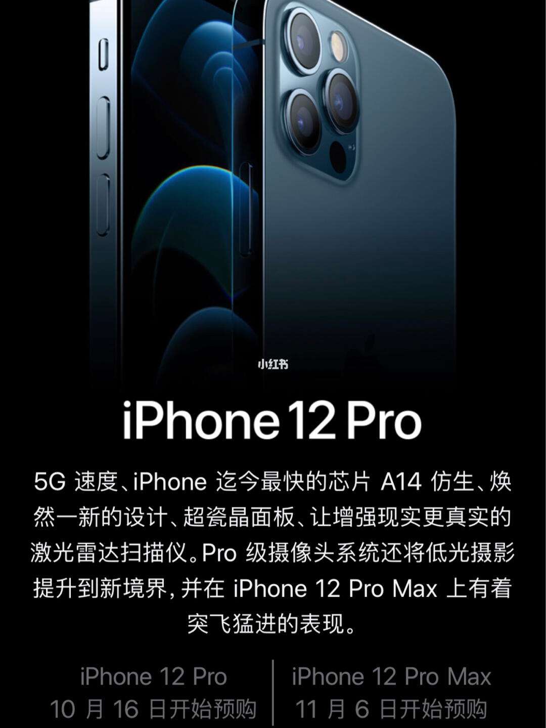 1982先行版苹果1982年古韵班章茶-第1张图片-太平洋在线下载