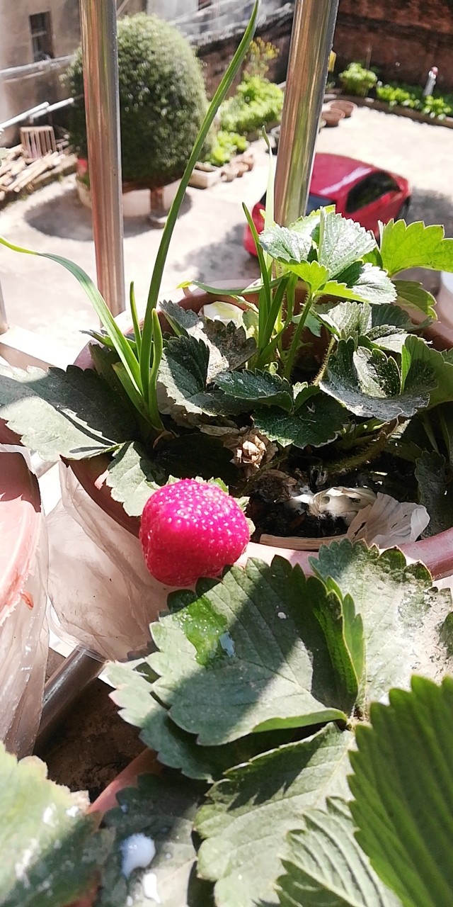 白话猫苹果版阅读苹果版下载-第1张图片-太平洋在线下载