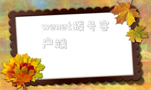 wenet拨号客户端wenet电脑客户端下载官网-第1张图片-太平洋在线下载